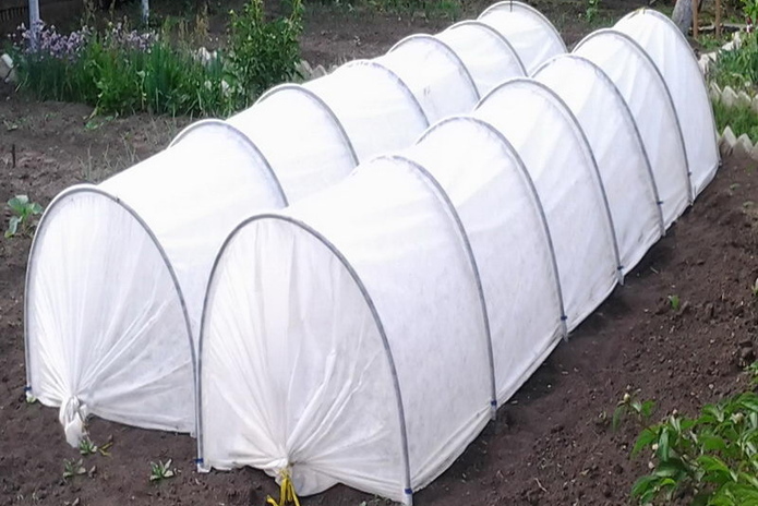 Больше урожая