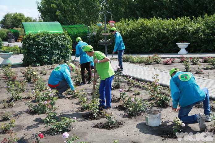 Свои заработки
