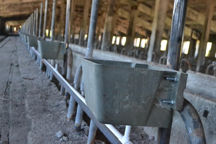 Еще больше молока