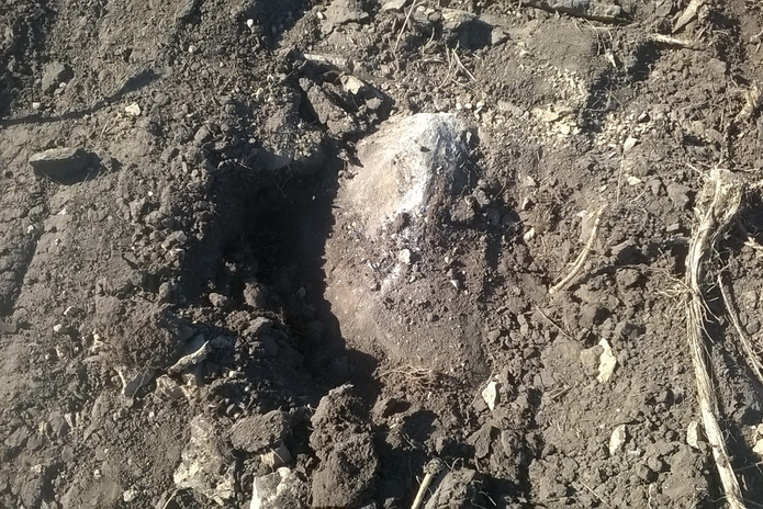 Докопались