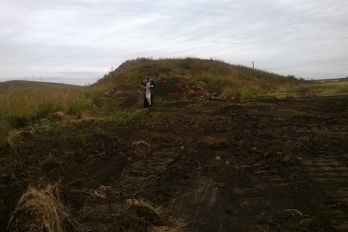 Докопались