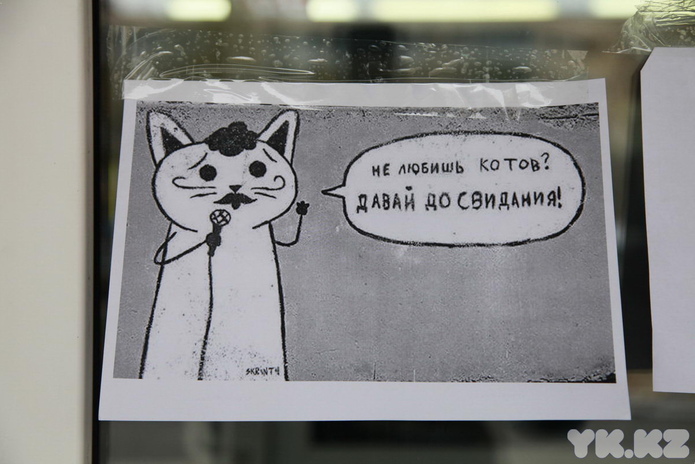 Любимцы публики (+фото)