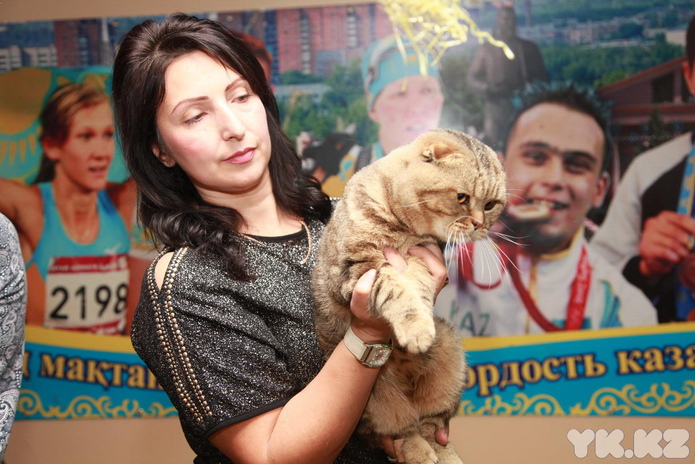 Любимцы публики (+фото)