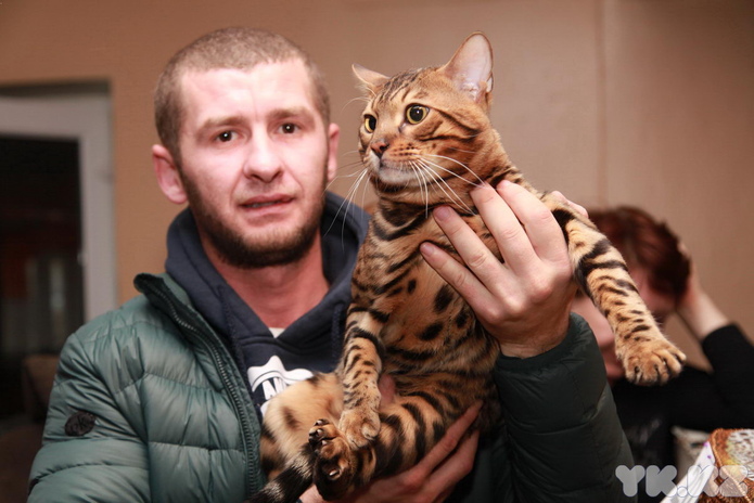 Любимцы публики (+фото)