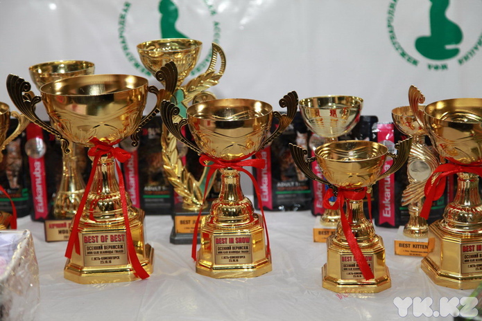 Любимцы публики (+фото)