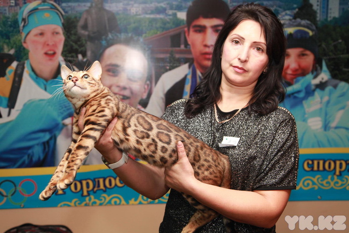 Любимцы публики (+фото)