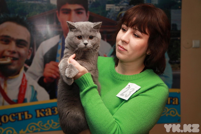 Любимцы публики (+фото)