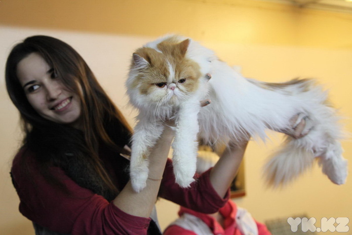 Любимцы публики (+фото)