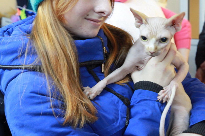 Любимцы публики (+фото)