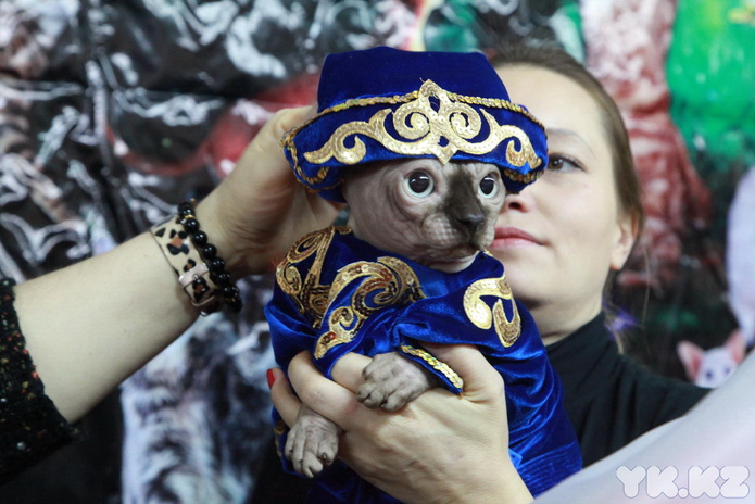 Любимцы публики (+фото)