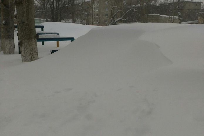 Неожиданно (+фото)