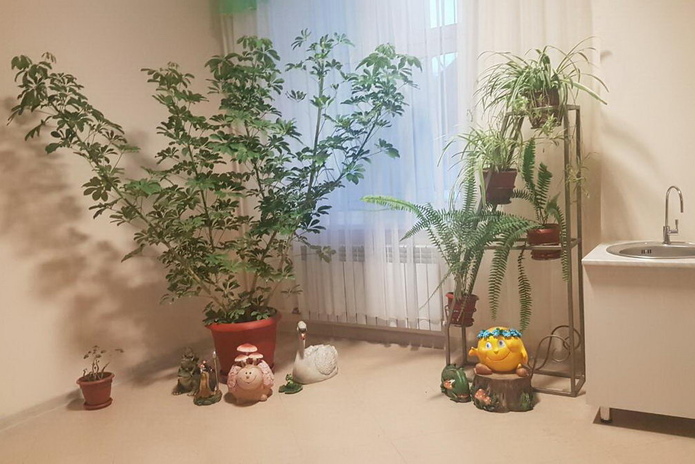 Радоваться жизни (+фото)