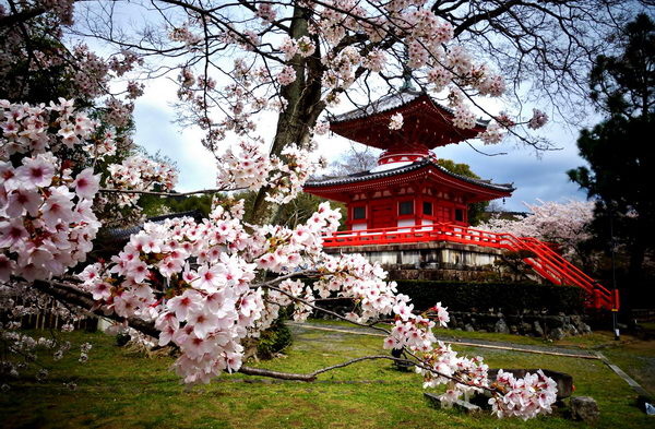 Красивая весна с японской косметикой! – PR