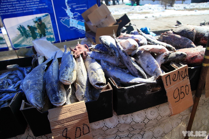 Весна приходит с Наурызом (+фото)