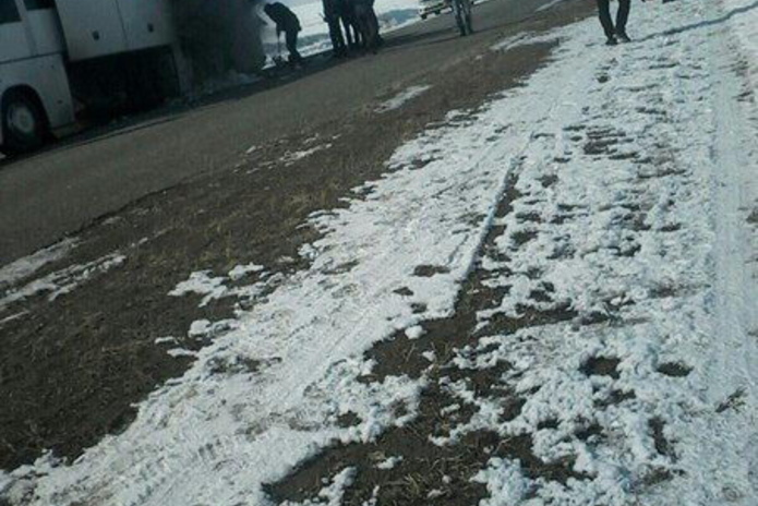 Все живы