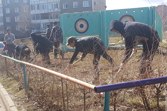 Большая чистка