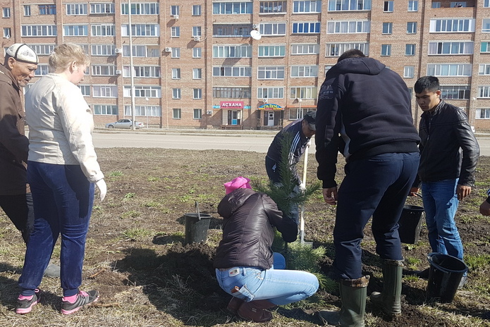 Молодо-зелено