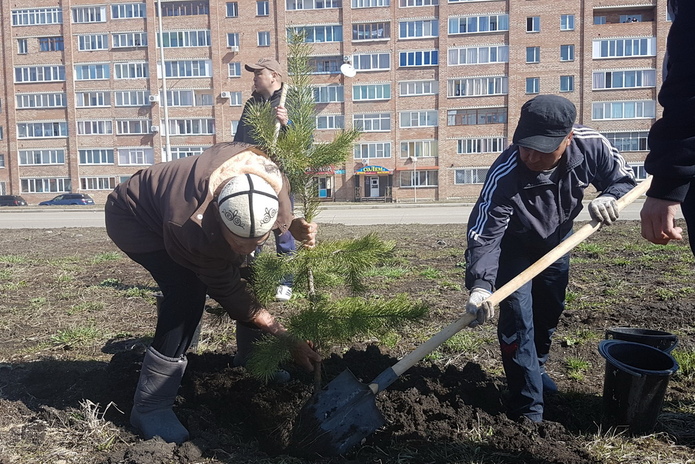 Молодо-зелено