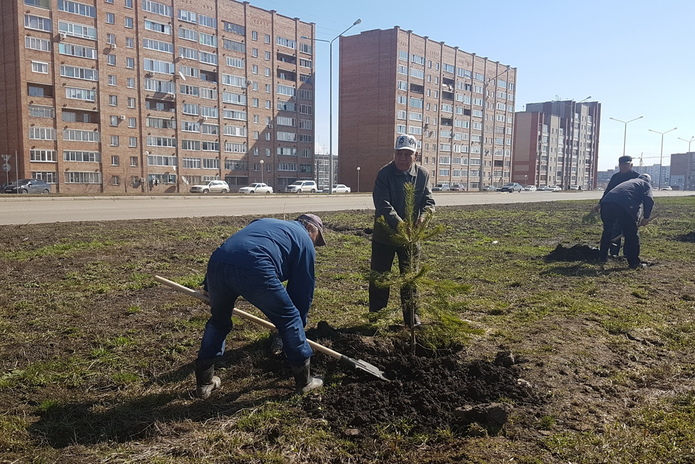Молодо-зелено