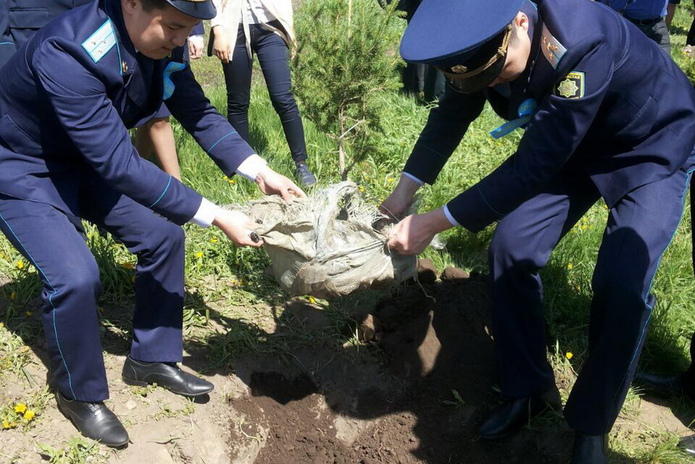 Аллея памяти