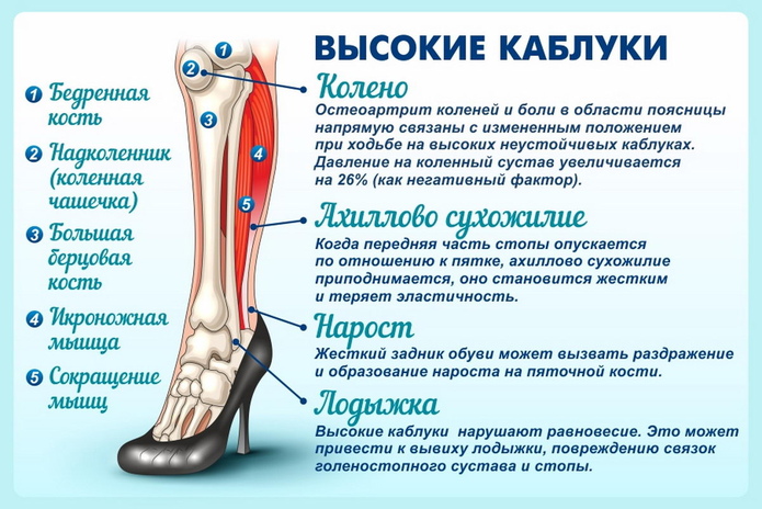 Красивые ножки – всегда - PR