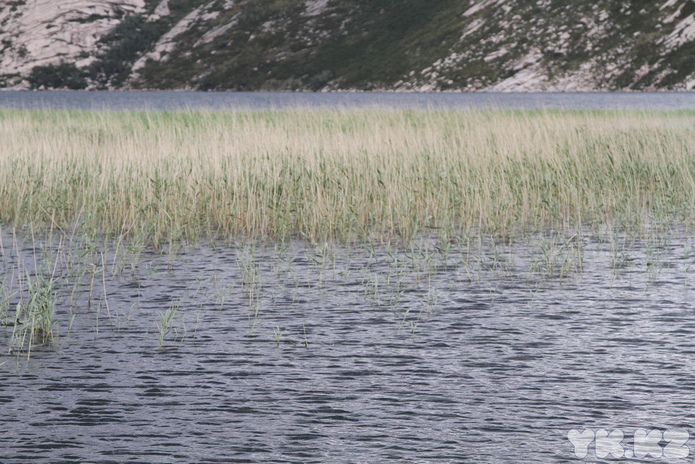 Получился несураз