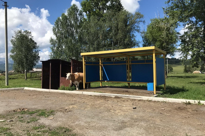 Петь, чтобы жить