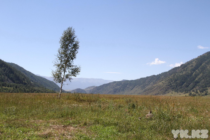 Пришли и остались (+фото)