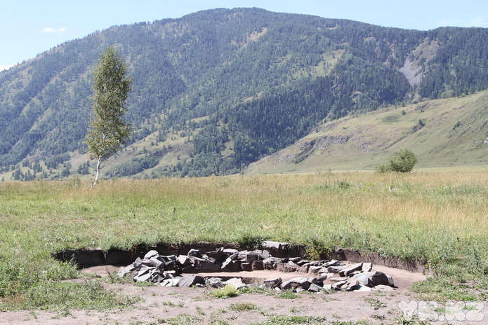 Пришли и остались (+фото)