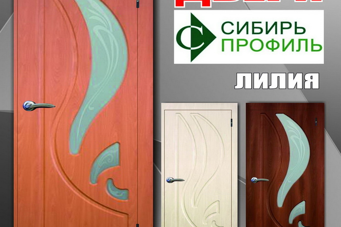 Хороший выбор дверей для вашего интерьера! - PR