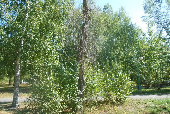 Культурный шок