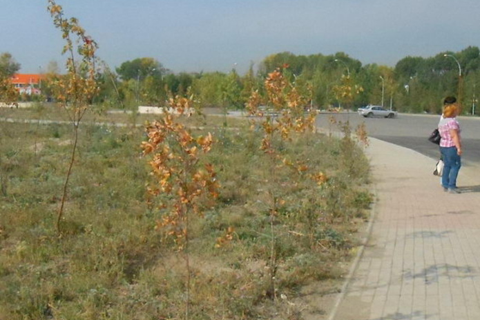 Культурный шок