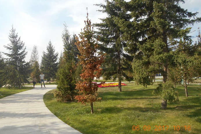 Культурный шок