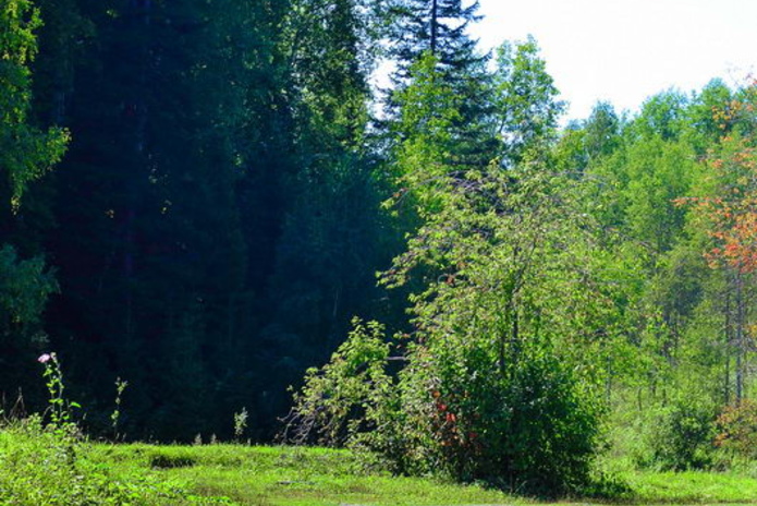 Отдых от цивилизации - PR