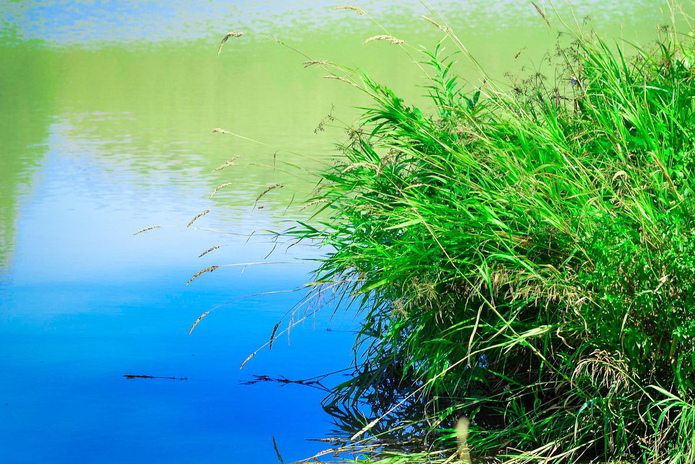 Отдых от цивилизации - PR