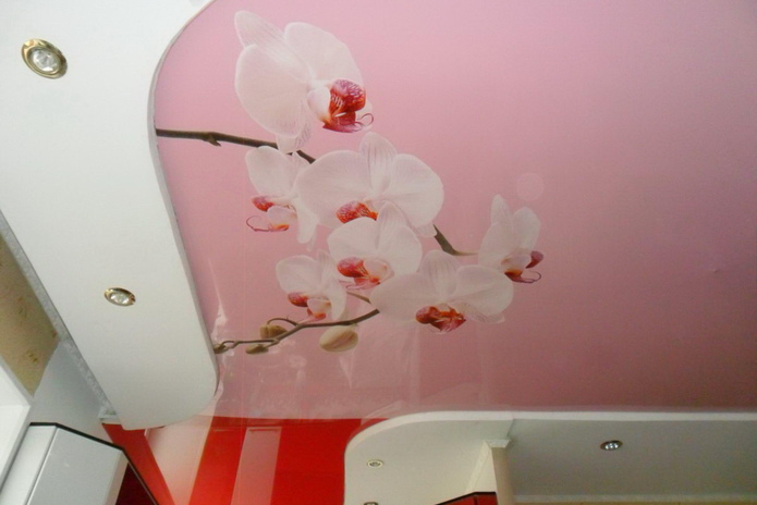 Современно и эстетично - PR