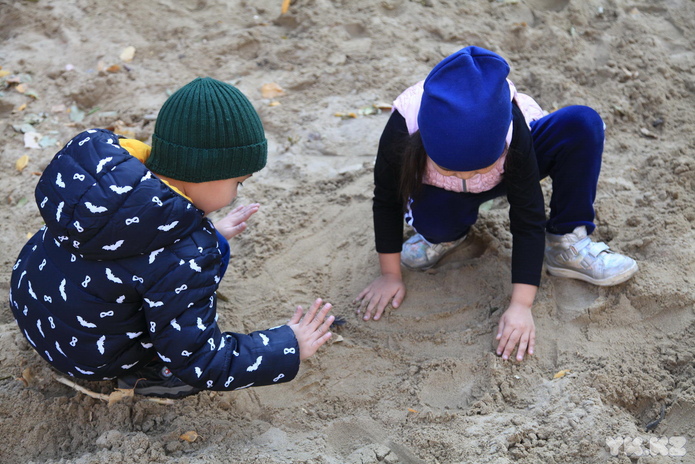 Какими будут дворы (+фото)