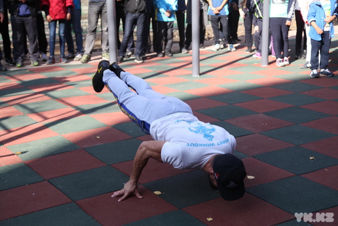 Какими будут дворы (+фото)