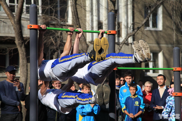 Какими будут дворы (+фото)