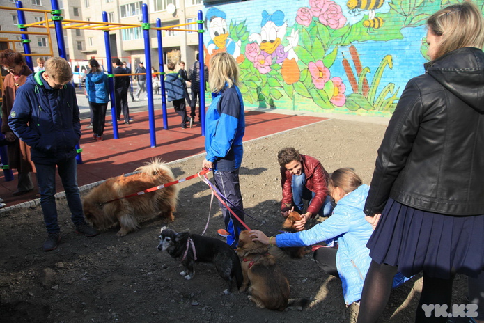 Какими будут дворы (+фото)