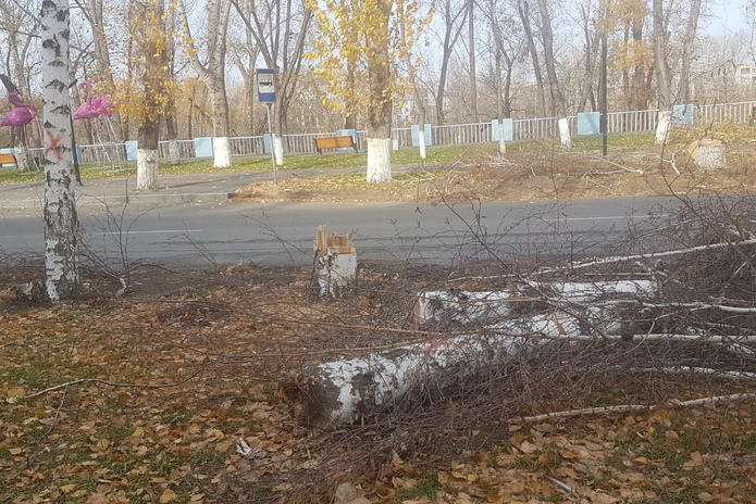На 4 полосы