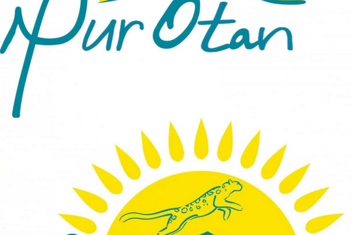 Только новое