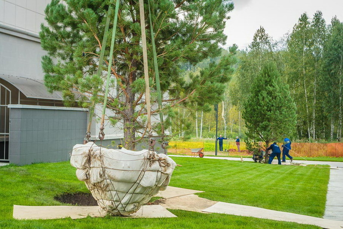 Большие скидки от 