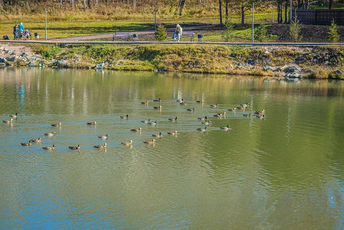 Большие скидки от 