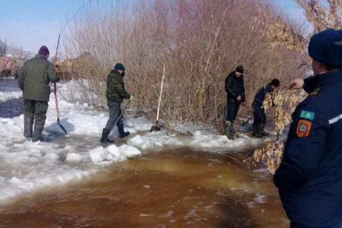 Следят за водой