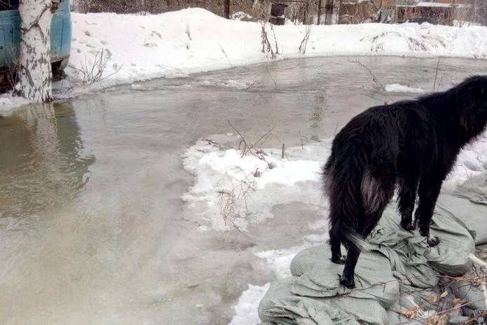 Журчат ручьи