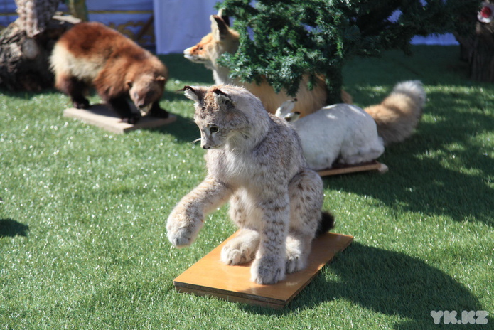 Тёплый праздник (+фото и видео)