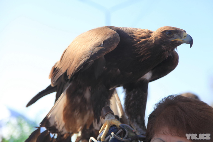 Тёплый праздник (+фото и видео)