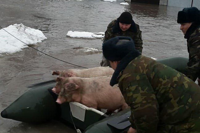 Ожидаются осадки