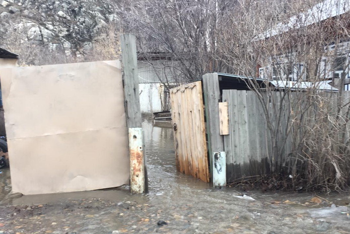 Стой, Маховка (+фото)